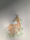 Roe Deer and Buttercups Card