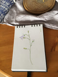Harebell and butterfly bone china coaster