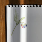 Wildflower and ladybird bone china coaster