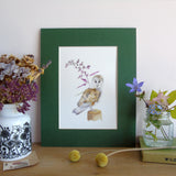 Barn Owl A5 Giclée Fine Art Print