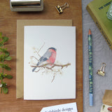 Bullfinch and blossom Card