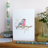 Bullfinch and blossom Card