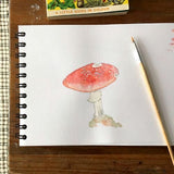 Mushroom Bone China Coasters