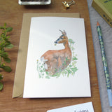 Roe Deer and Buttercups Card