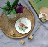 Wren and Snowdrops Coaster