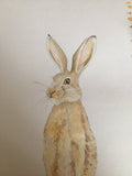 Brown hare and crocus mini wall plate