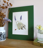 Badger and Grape Hyacinth A5 Giclée Fine Art Print
