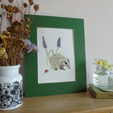 Badger and Grape Hyacinth A5 Giclée Fine Art Print