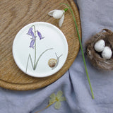 bluebell coaster