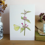Red Dead-Nettle and Butterfly Greetings Card