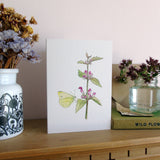 Red Dead-Nettle and Butterfly Greetings Card