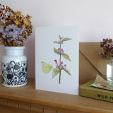 Red Dead-Nettle and Butterfly Greetings Card