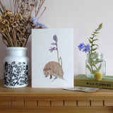 Hedgehog and Bluebell Bone china mug