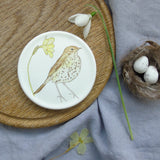 songthrush coaster