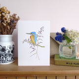 Kingfisher greetings card