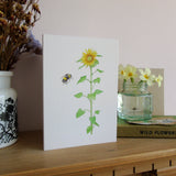Sunflower and Bee card for Ukraine Appeal
