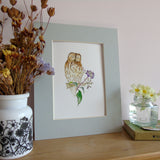 Tawny Owl and Ivy Berries A5 Giclée Fine Art Print