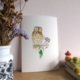 Tawny Owl and Ivy Berries A5 Giclée Fine Art Print
