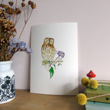 Tawny Owl and Ivy Berries A5 Giclée Fine Art Print