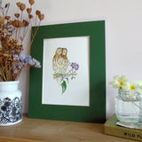 Tawny Owl and Ivy Berries A5 Giclée Fine Art Print