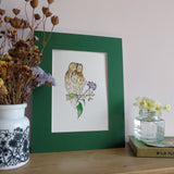 Tawny Owl and Ivy Berries A5 Giclée Fine Art Print