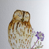 Tawny Owl and Ivy Berries A5 Giclée Fine Art Print