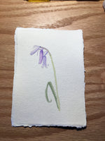 English Bluebell Original Watercolour Painting