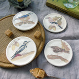 Woodland Birds Bone China Coasters