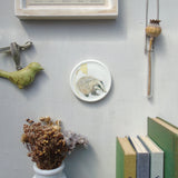 badger wall decoration