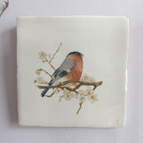 bird and botanical wall art