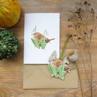 Wren Decoration and Card Letterbox Gift