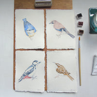 Nuthatch Original Watercolour Painting Unframed
