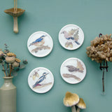 british bird wall plates