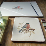 British bird watercolour wall art