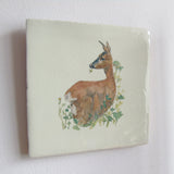 british wildlife illustration wall decor