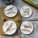 Woodland Birds Bone China Coasters