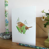 Wren and Snowdrops Card