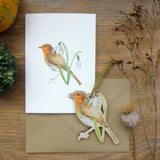Robin Decoration and Card Letterbox Gift