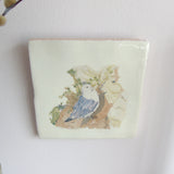 Nesting Kittiwake Ceramic Tile Wall Art