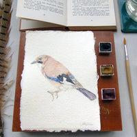 Eurasian Jay Original Watercolour Painting Unframed
