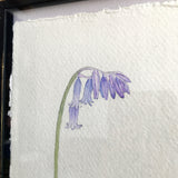 English Bluebell Original Watercolour Painting