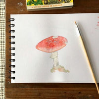 Mushroom Bone China Coasters
