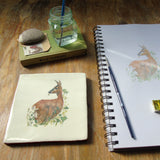 deer and buttercups wildlife wall art 