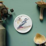 great spotted woodpecker plate