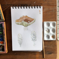 Mushroom Bone China Coasters