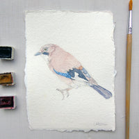 Eurasian Jay Original Watercolour Painting Unframed