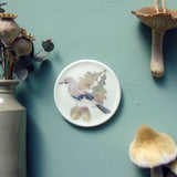 jay bird ceramic decoration