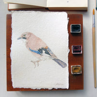 Eurasian Jay Original Watercolour Painting Unframed