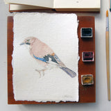 Eurasian Jay Original Watercolour Painting Unframed