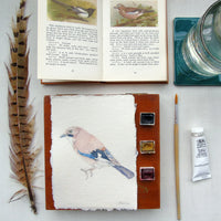 Eurasian Jay Original Watercolour Painting Unframed